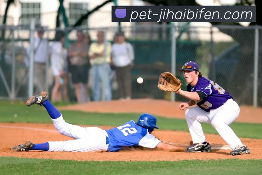 App Interface Preview